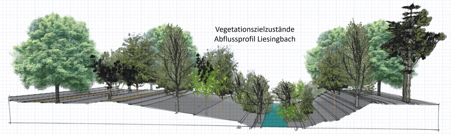 Vegetationszielzustände – Liesingbach