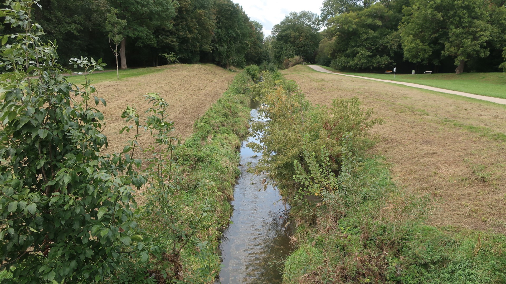 Hochwasserschutz und Renaturierung